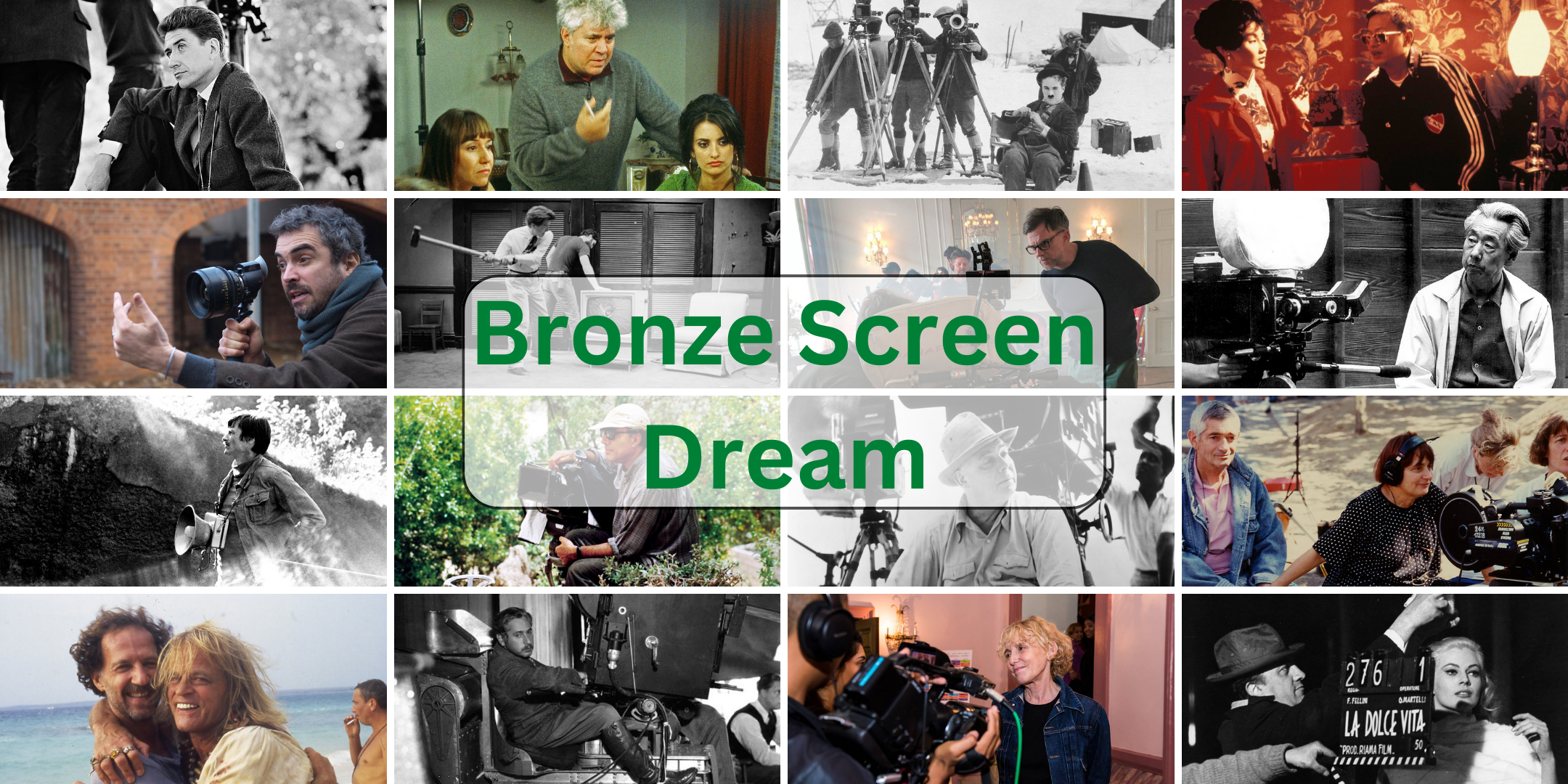 Bronze Screen Dream